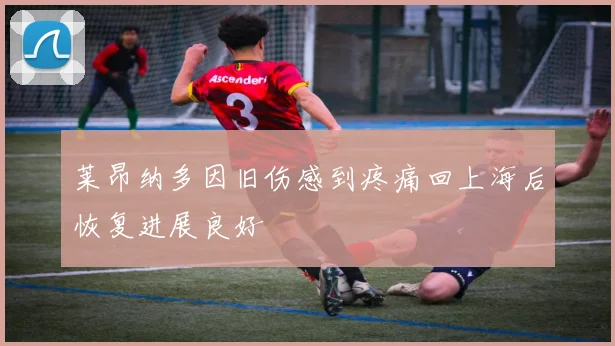 莱昂纳多因旧伤感到疼痛回上海后恢复进展良好